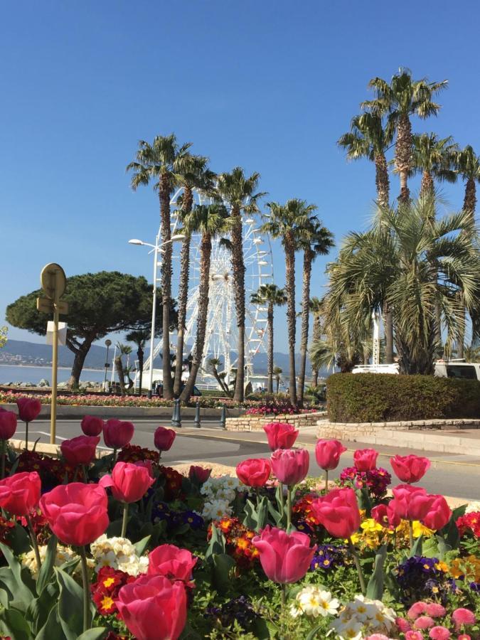 Apartamento Appart T2 Saint Raphael - Valescure Exterior foto